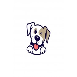 Vebox Easy Pet Wipes Islak Kova Mendil 300 Adet